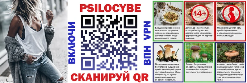 где найти наркотики  Новомичуринск  Псилоцибиновые грибы ЛСД 